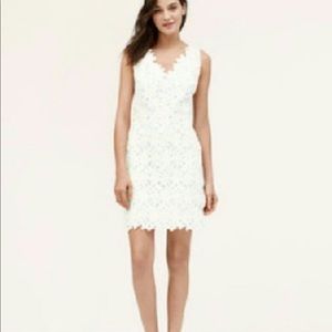 LOFT Lace Floral Dress